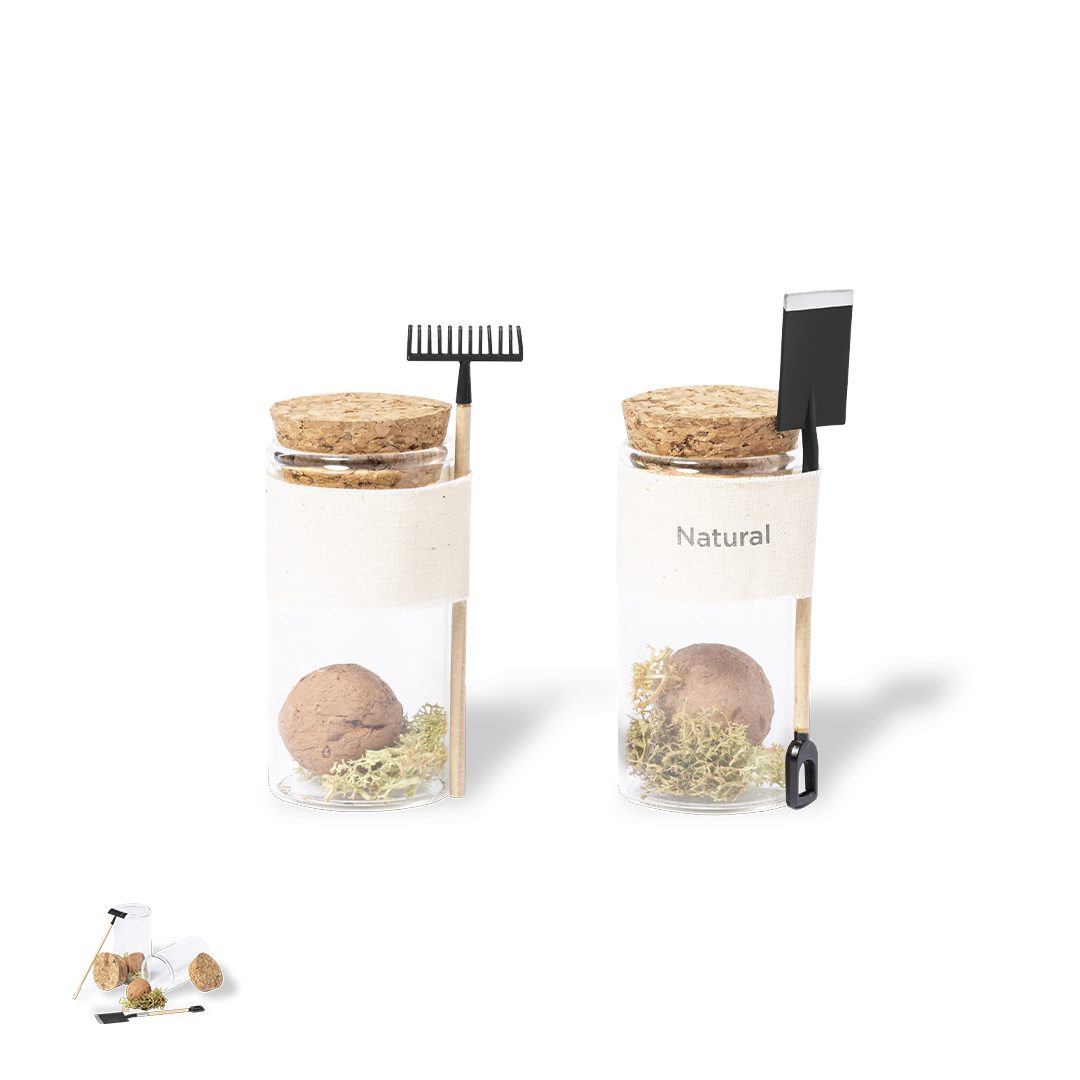 Bonbon-Samen Winsu