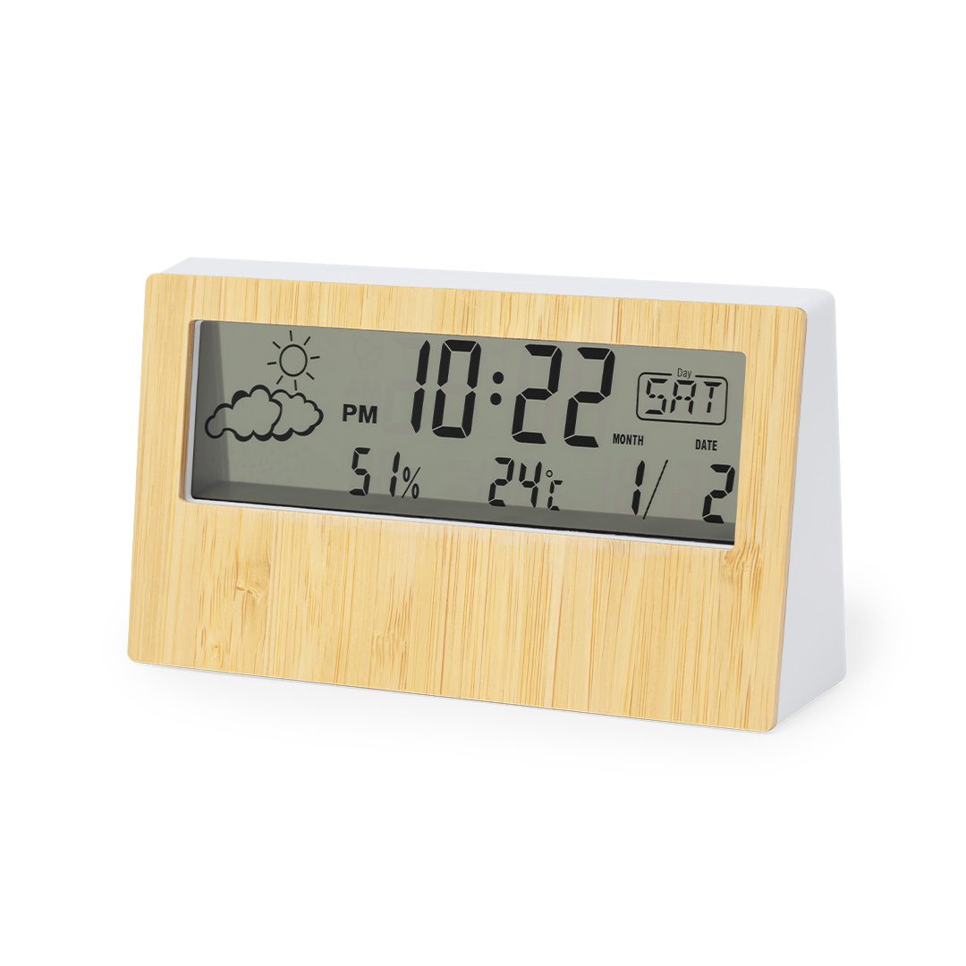 Wetterstation Roamer