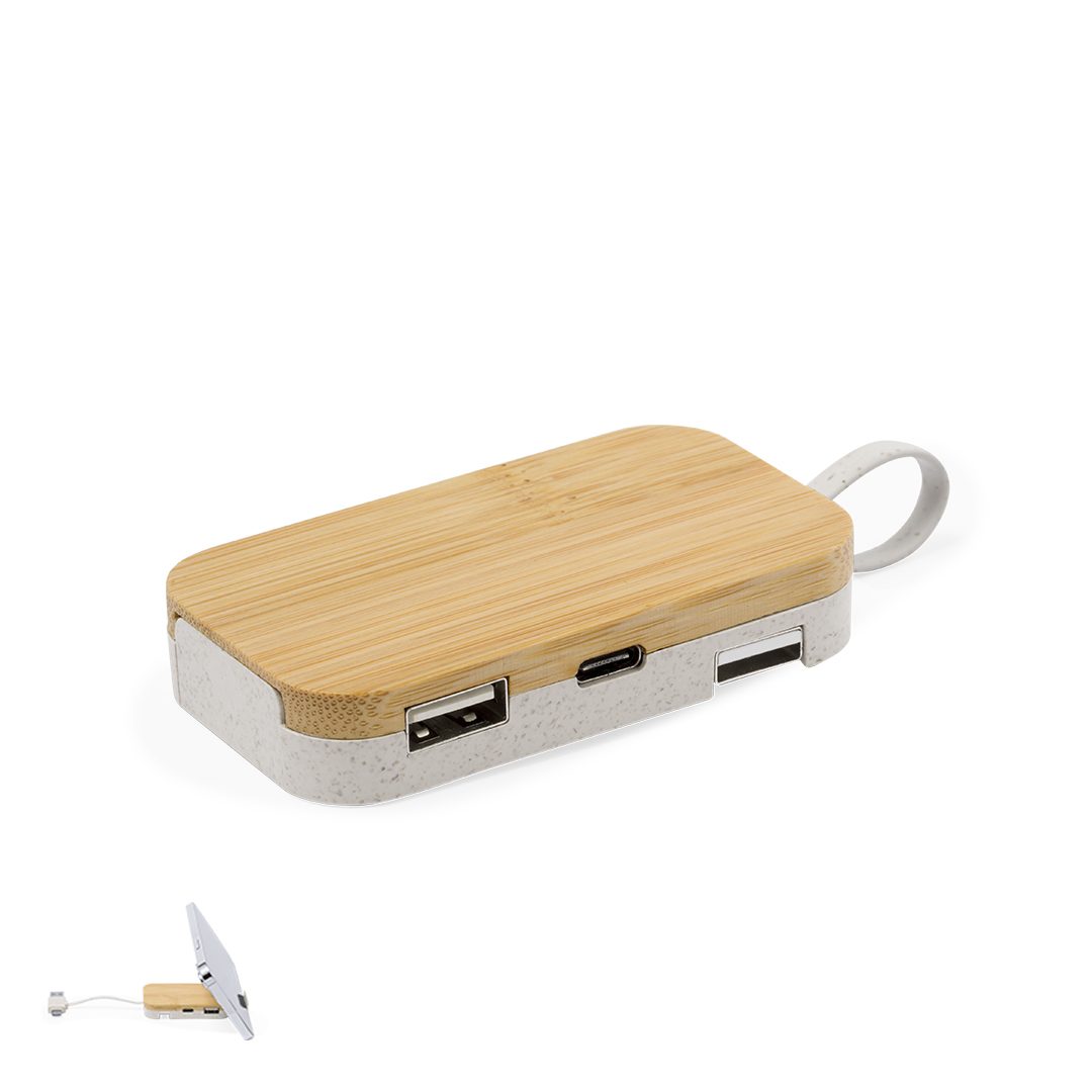 Halter USB Hub Flow