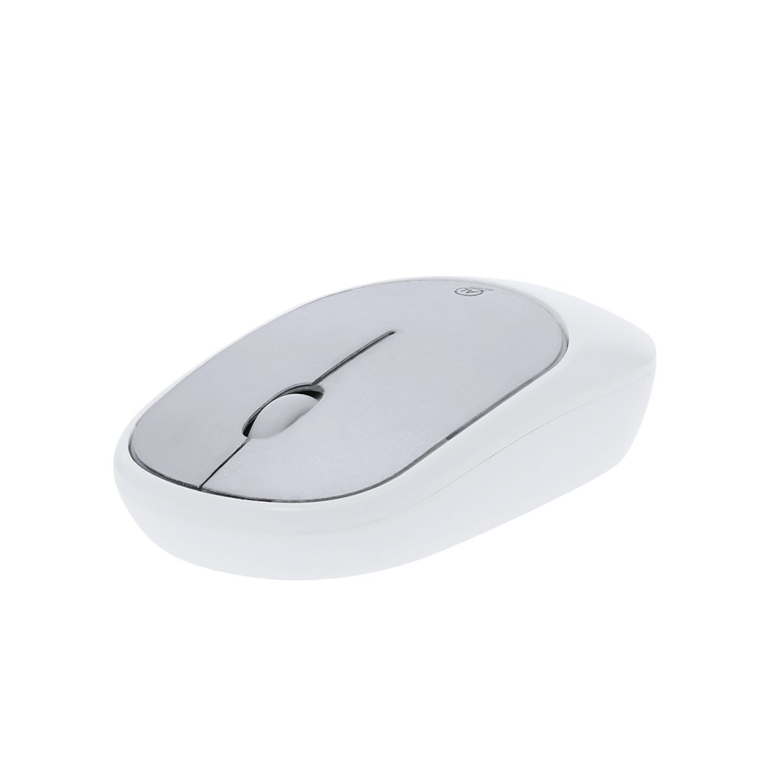 Maus Doryt RCS