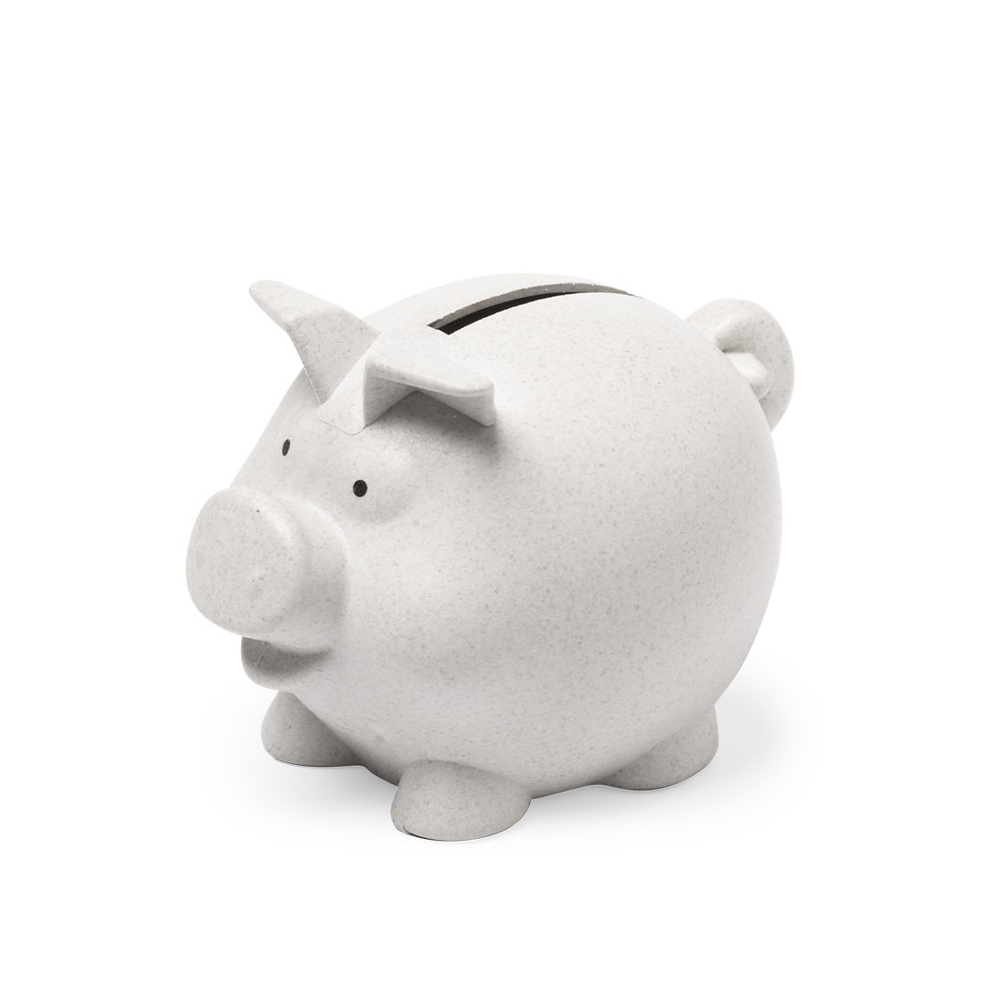 Sparschwein Darfil