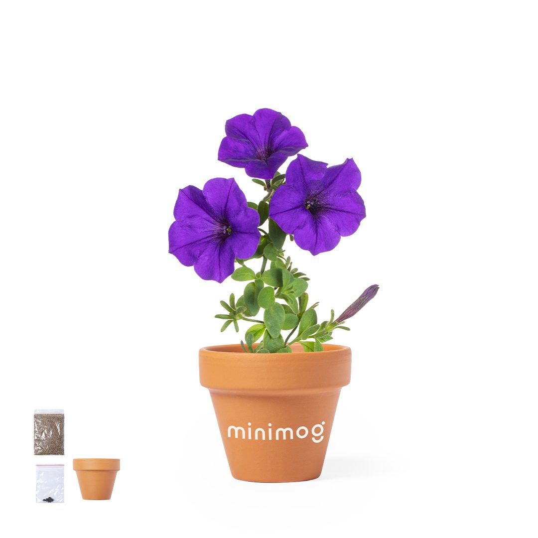 Blumentopf Soltax