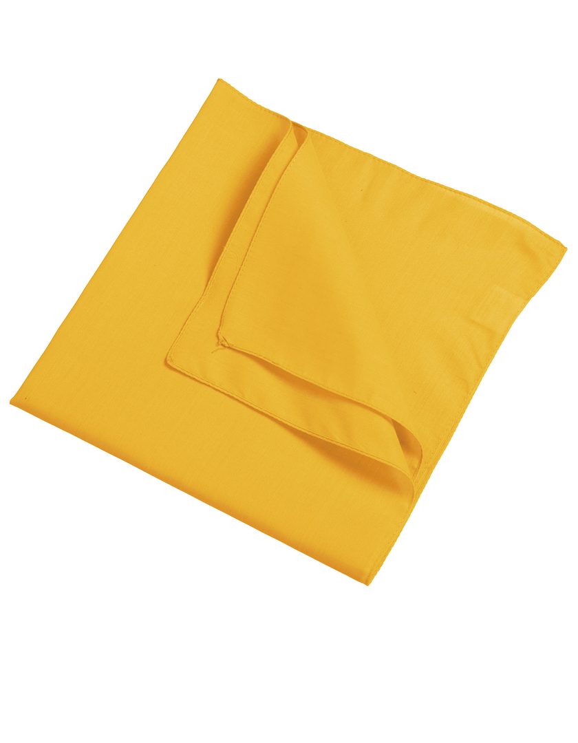 Daiber Bandana