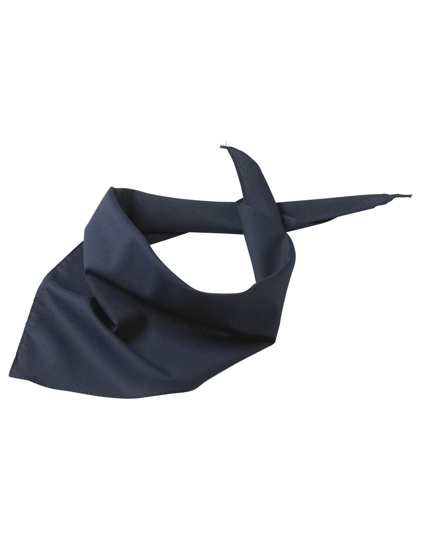 Daiber Triangular Scarf