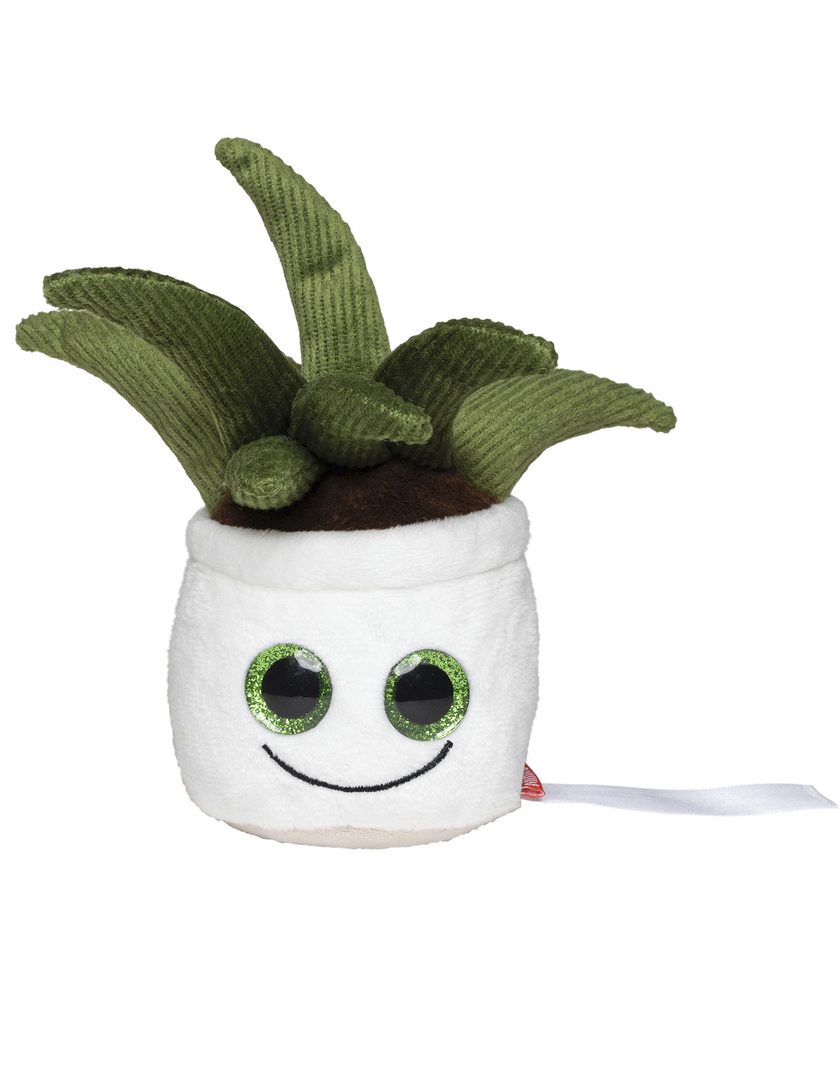 Mbw Schmoozies® Evergreenies® Aloe Vera