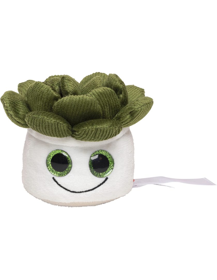 Mbw Schmoozies® Evergreenies® Sukkulente