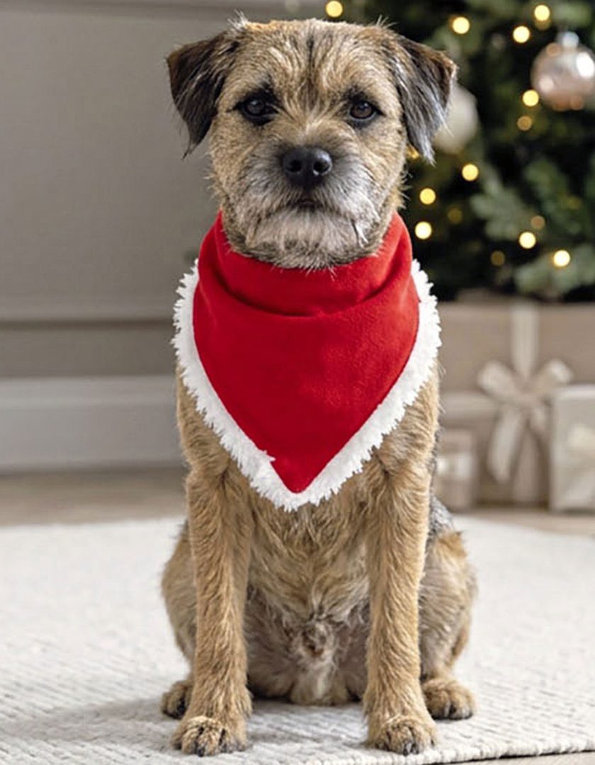 Portman & Pooch Dog Christmas Bandana